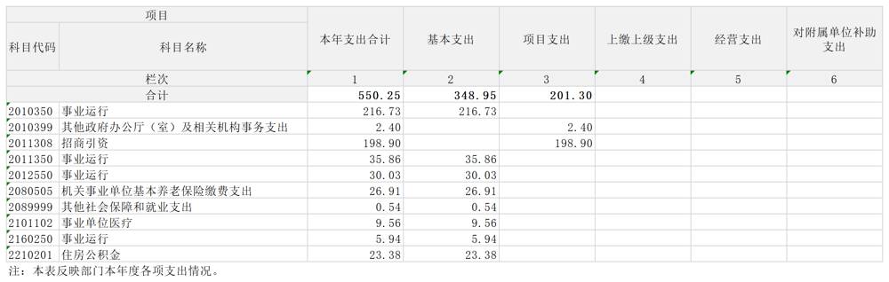 支出决算表